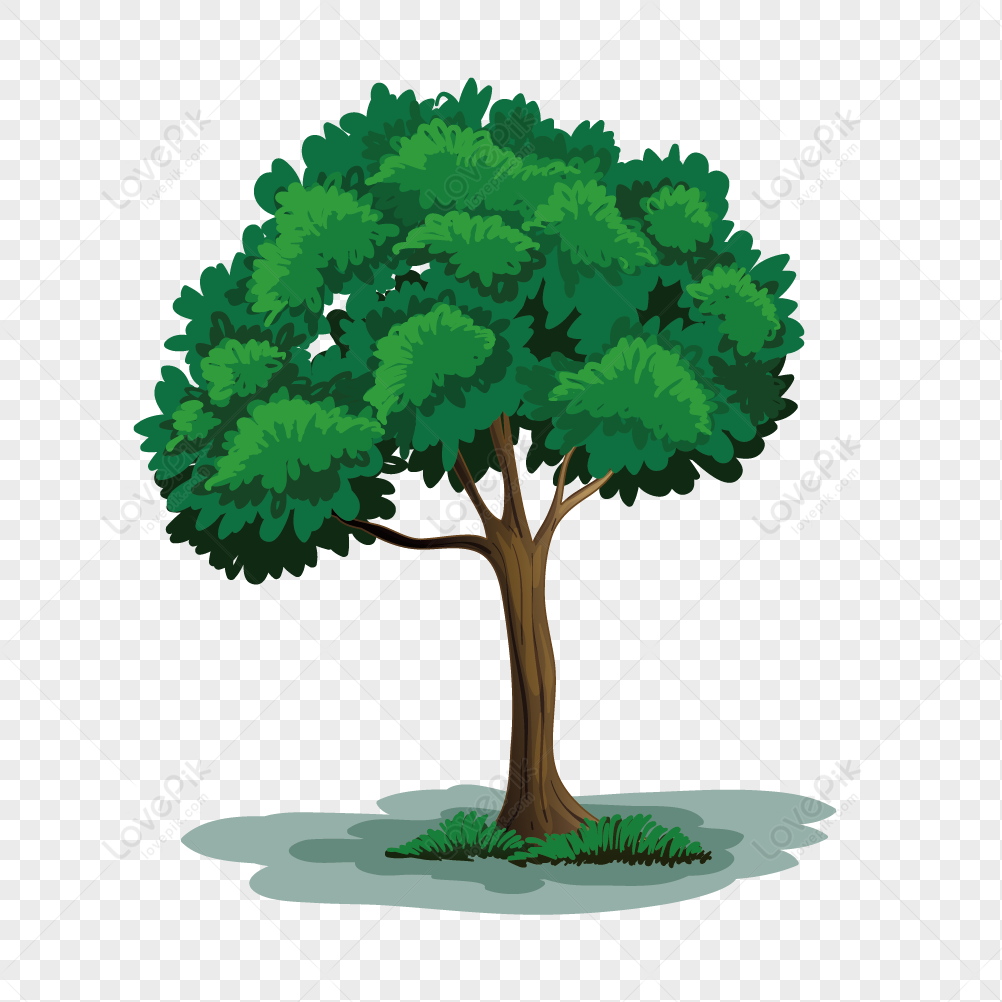 Cartoon Big Tree PNG Transparent Image And Clipart Image For Free Download  - Lovepik | 401442567
