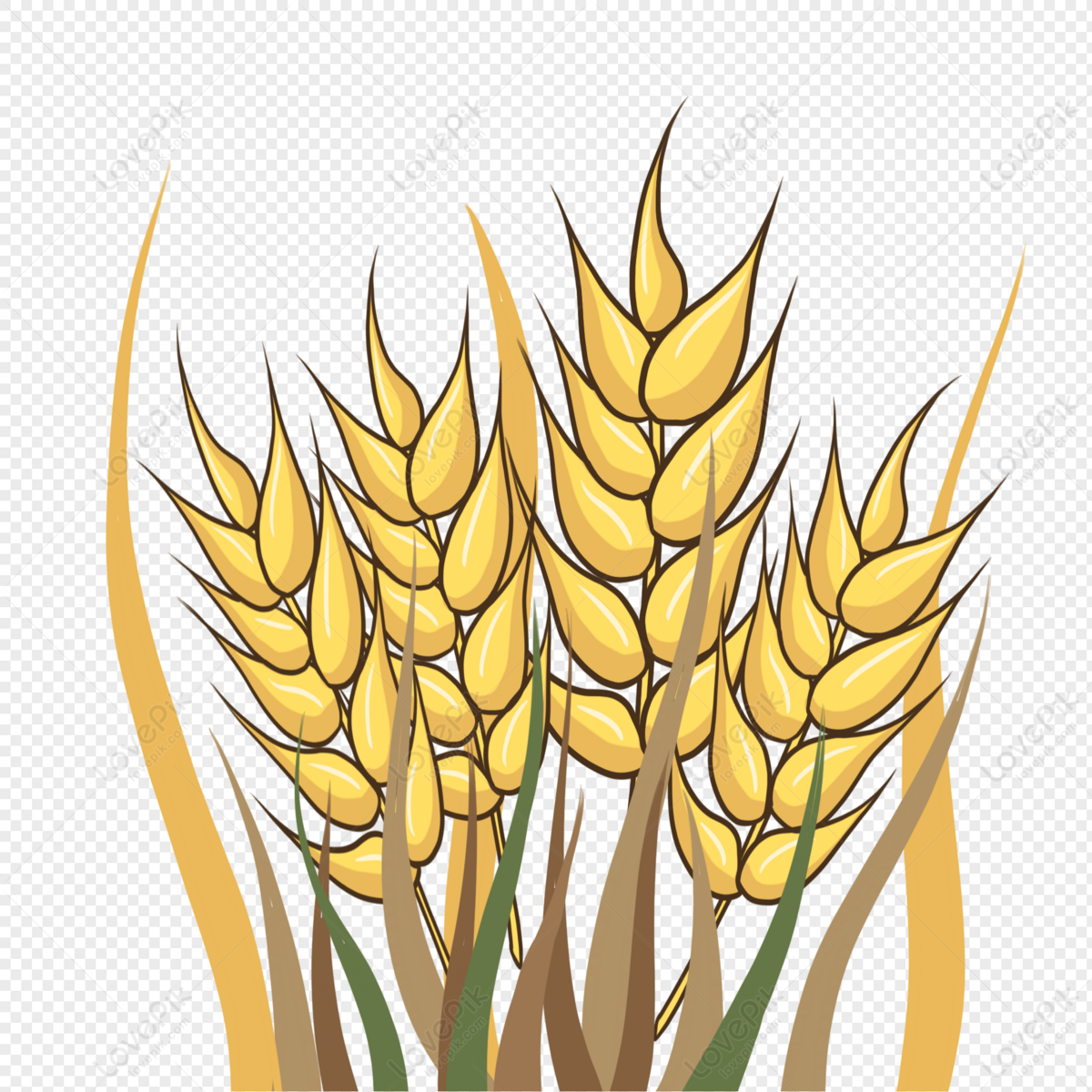 Cartoon Hand Drawn Crops Harvest Granules Full Of Wheat PNG Hd Transparent  Image And Clipart Image For Free Download - Lovepik | 401397034