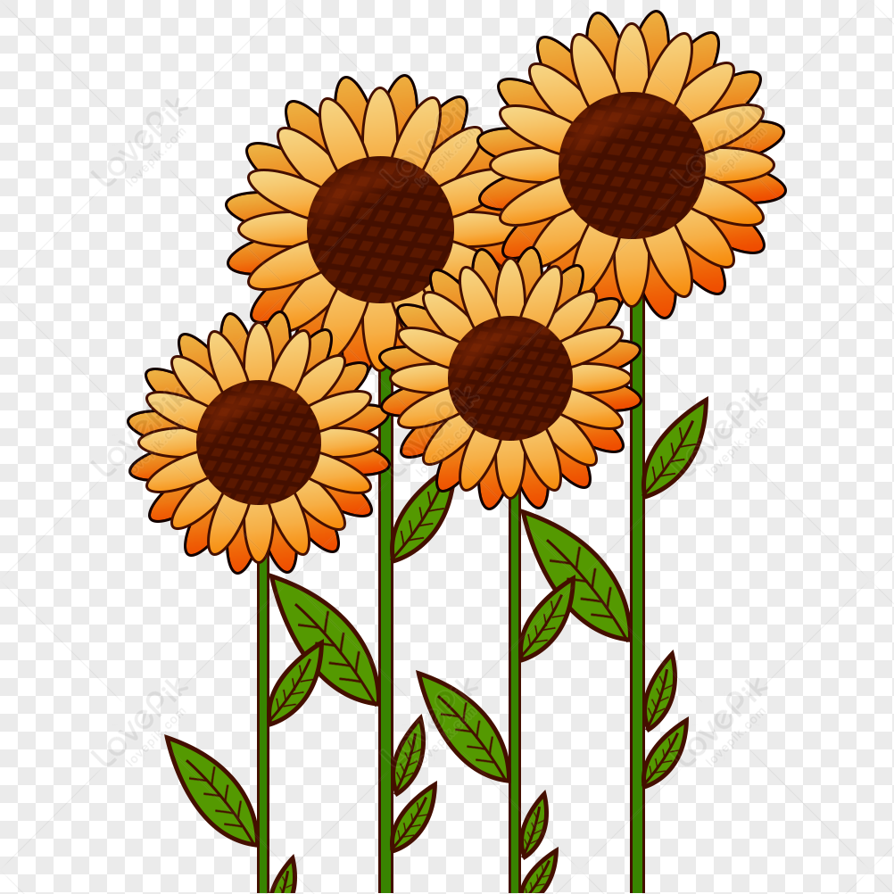 Cartoon Hand Drawn Cute Sunflower PNG Transparent And Clipart Image For  Free Download - Lovepik | 401449706