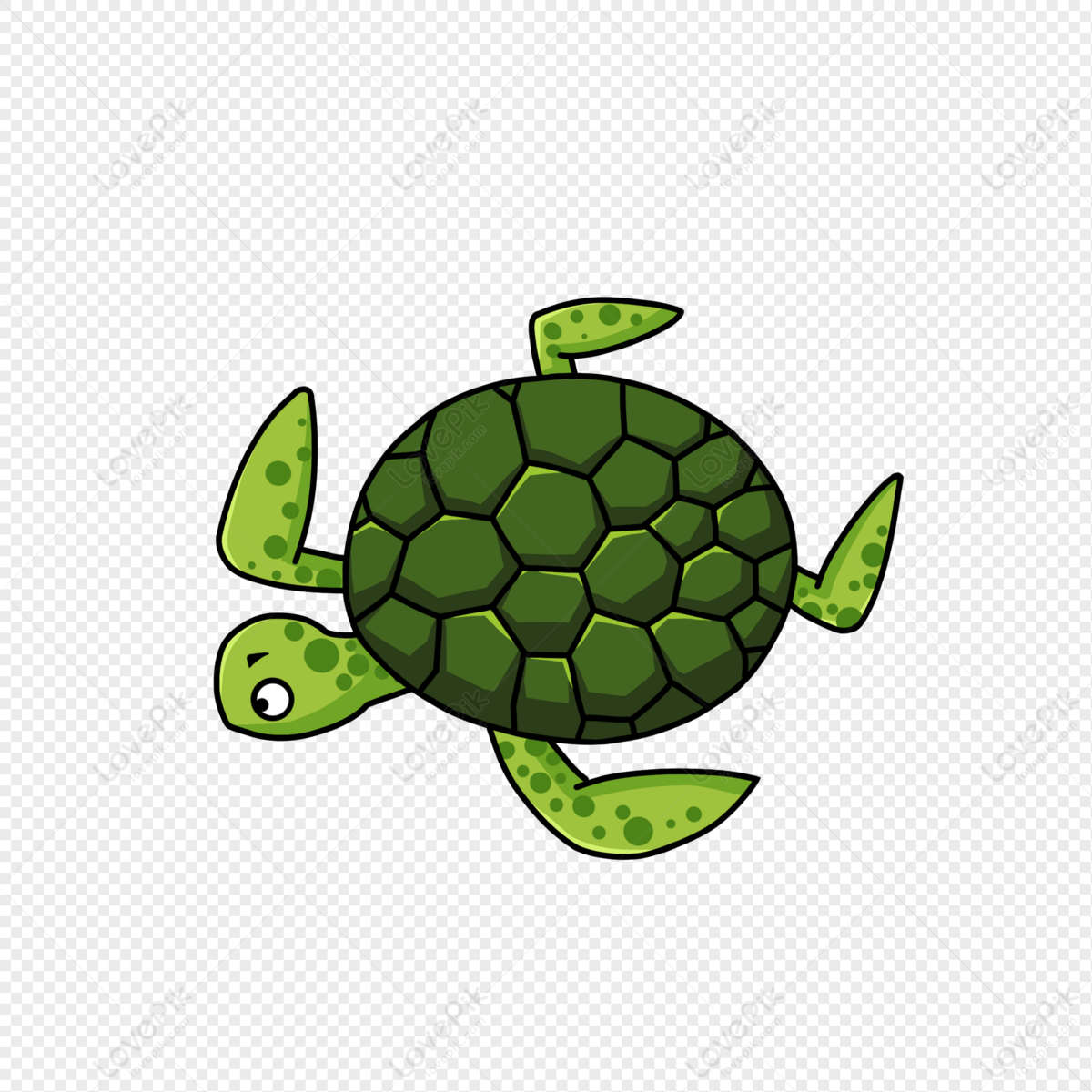 Cartoon Sea Turtle PNG Image Free Download And Clipart Image For Free  Download - Lovepik | 401389841