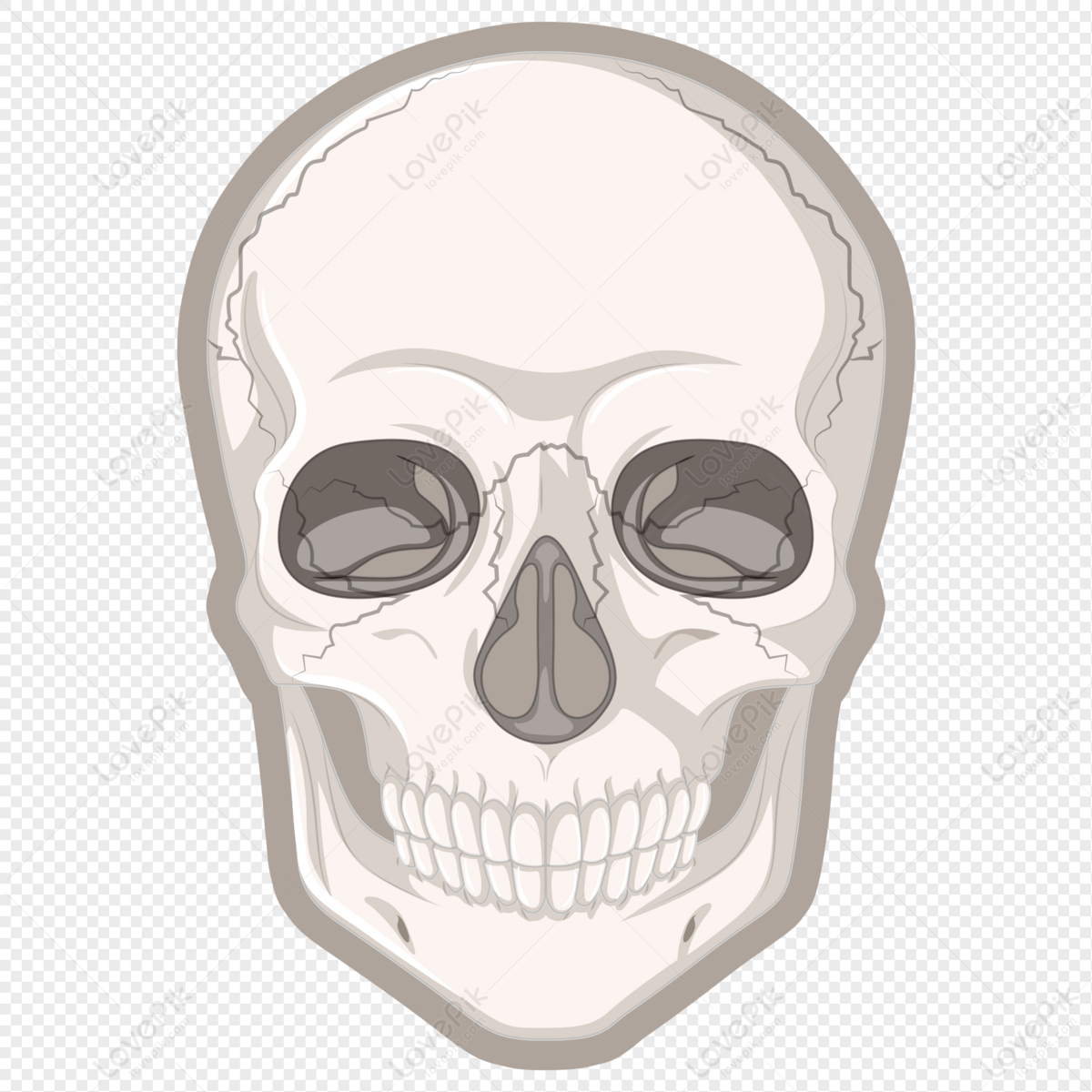 Cartoon Skull Images, HD Pictures For Free Vectors Download 