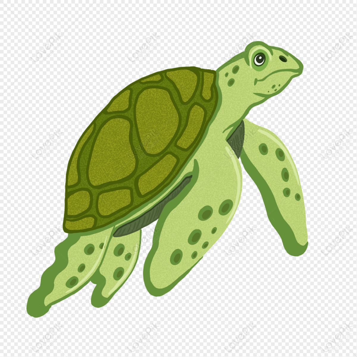 Cute Turtle Dabbing Cartoon Illustration - Cute Turtle Dabbing Cartoon -  Magnet | TeePublic