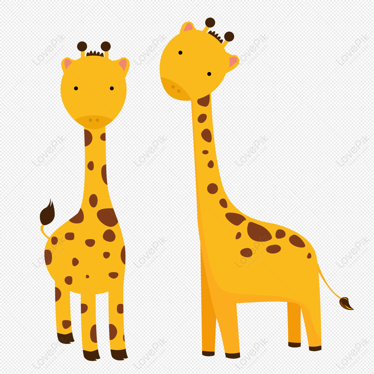 Giraffe animal cartoon giraffe, giraffe animal, cartoon giraffe, cartoon animal png picture