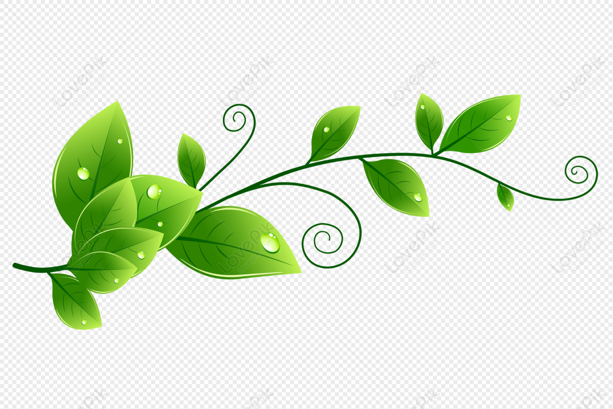 Green Leaves - Logo Leaves Png, Transparent Png - 576x734(#597457) - PngFind