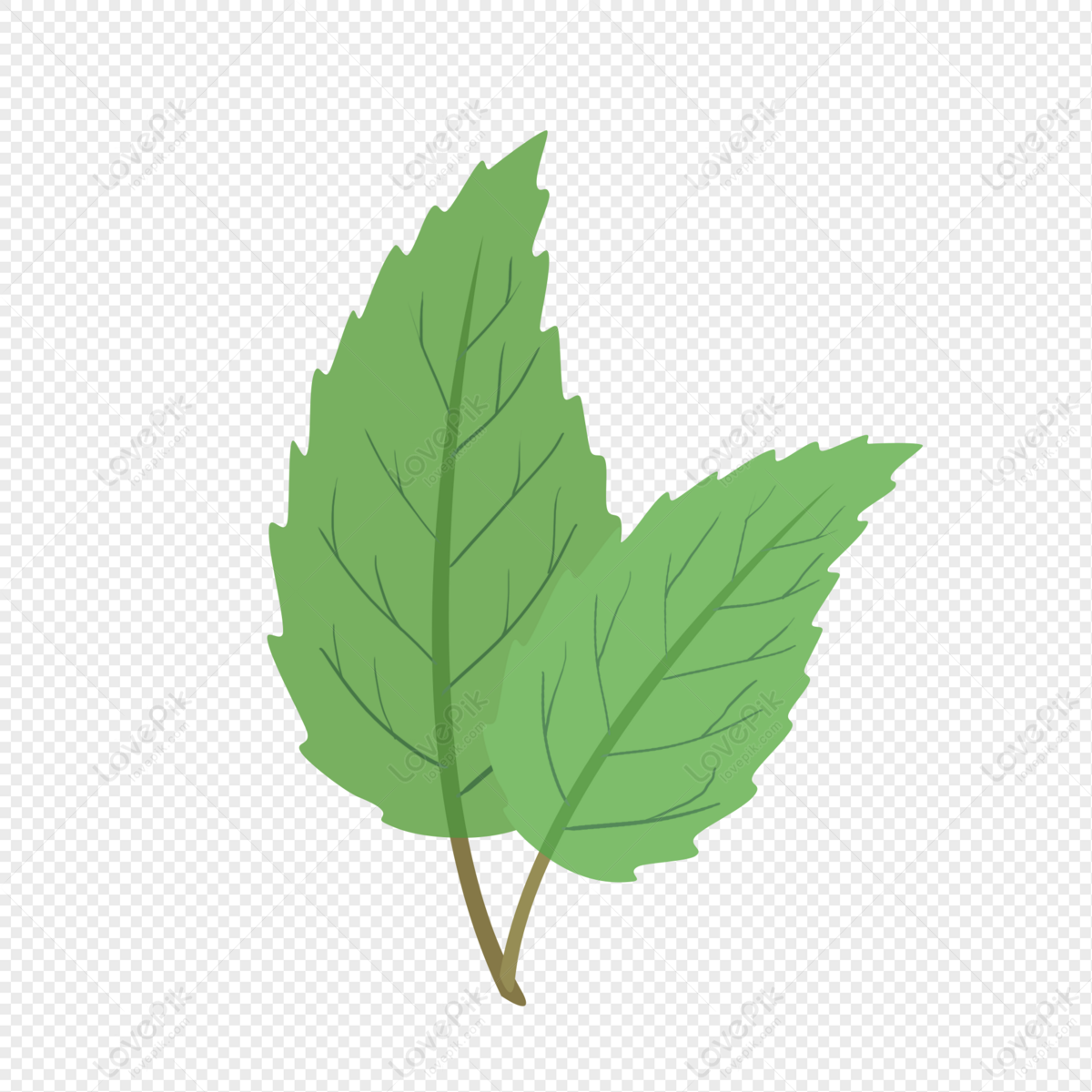 Hand Drawn Cartoon Leaves Free PNG And Clipart Image For Free Download -  Lovepik | 401368229