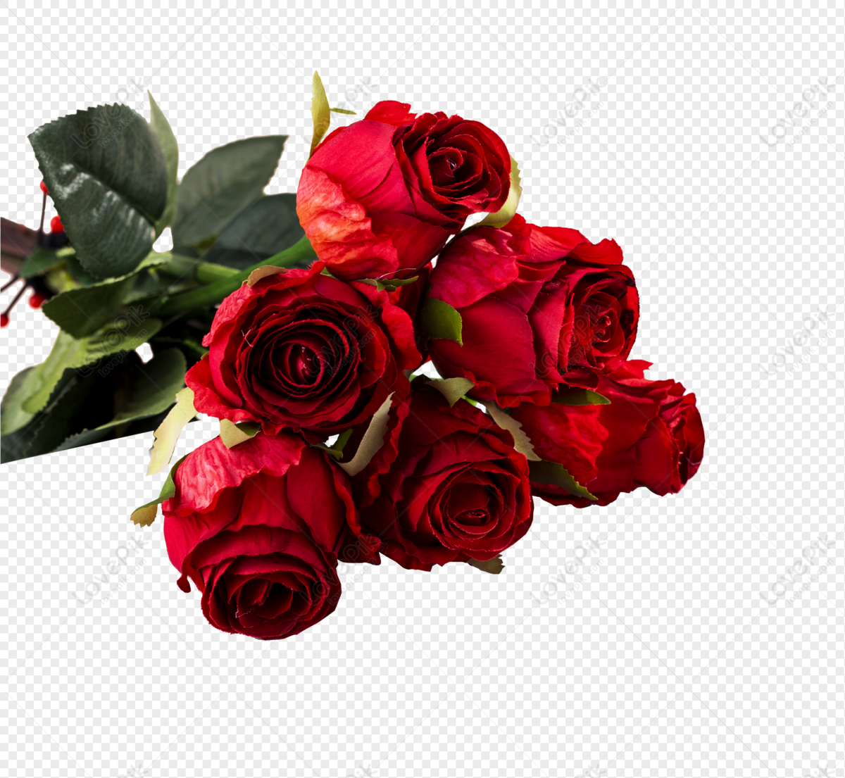 Red Rose Images, HD Pictures For Free Vectors Download 