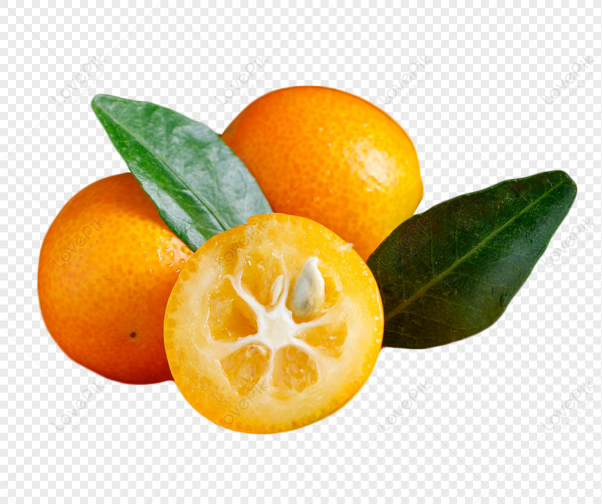 Kumquat Pequeño PNG Imágenes Gratis - Lovepik