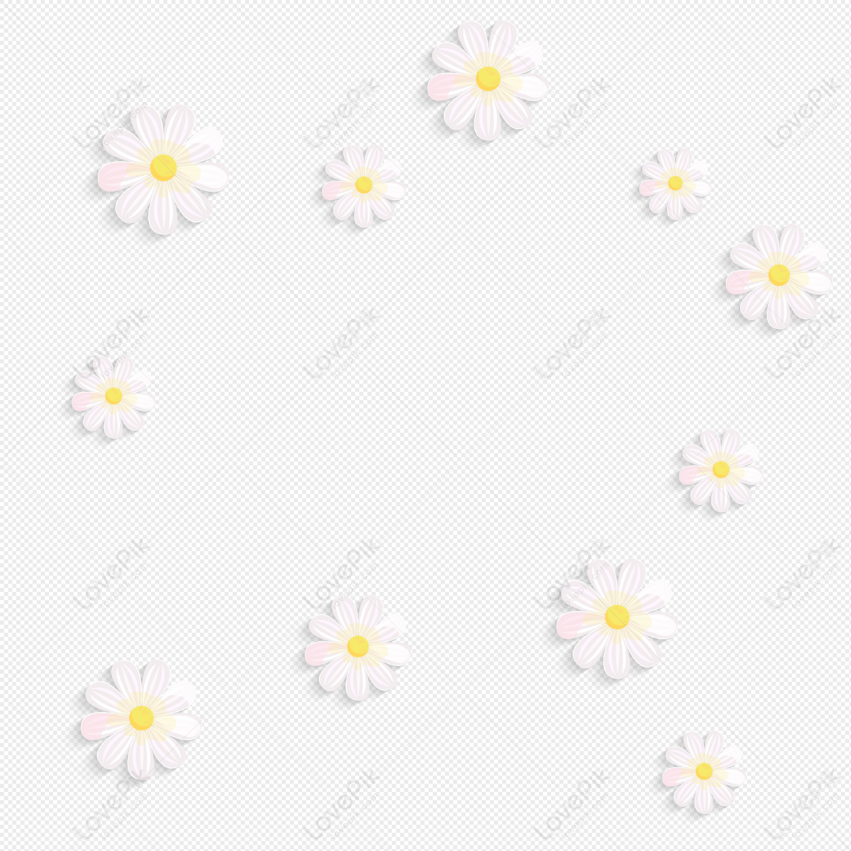small flowers white background