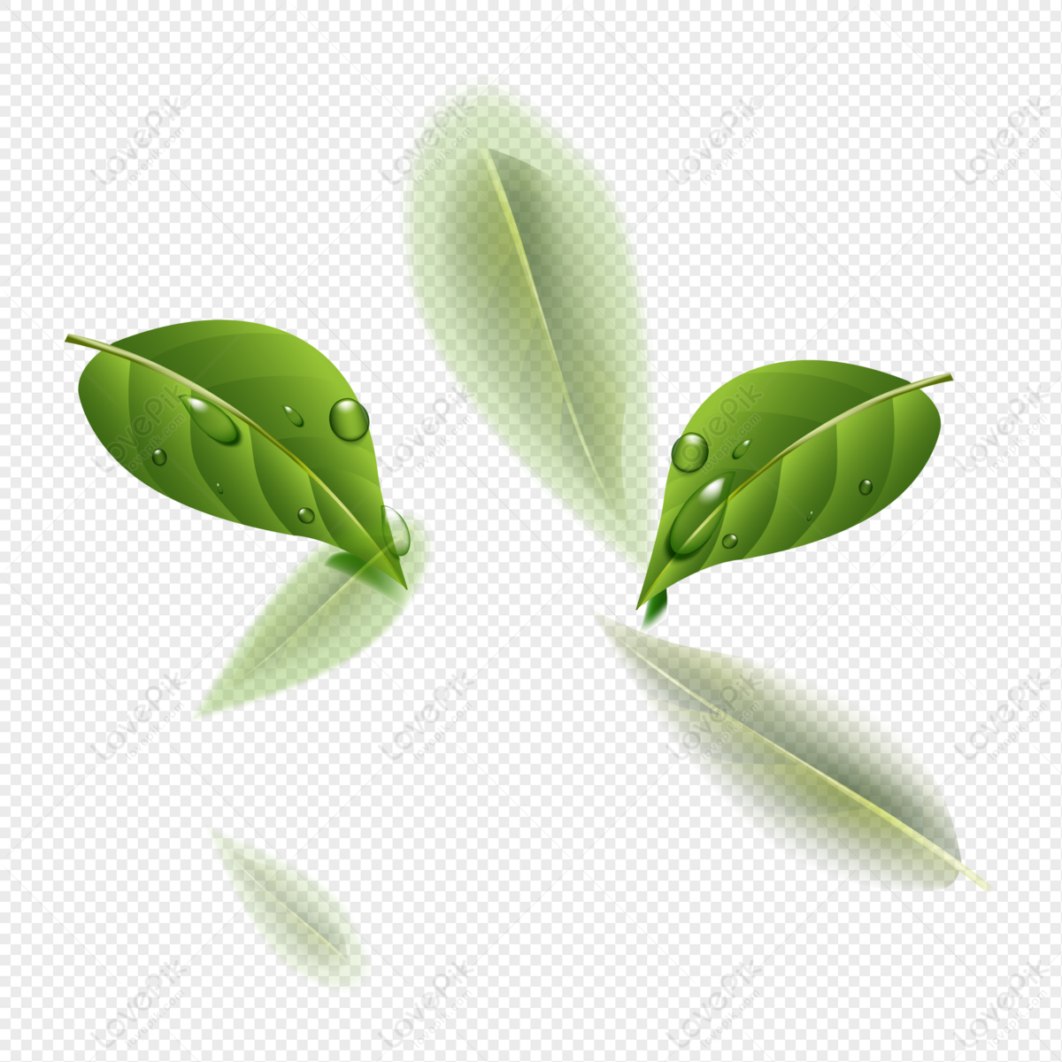 Vector Green Leaves, Tree, Vector Leaves, Leaf Blur PNG Hd Transparent ...