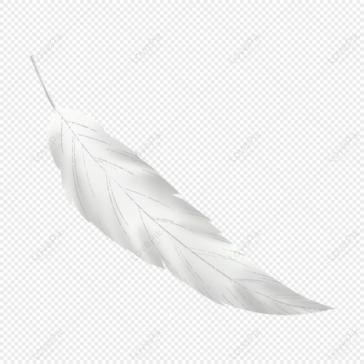 White And Brown Feathers Texture Background Stock Photo - Download