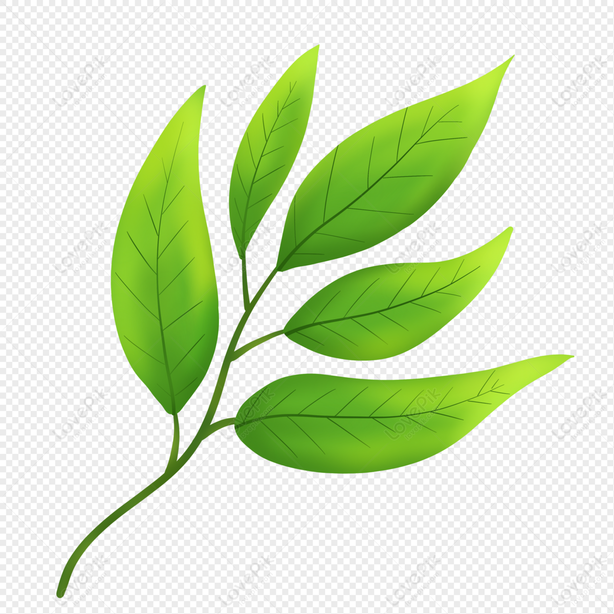Cartoon Green Leaf Illustration PNG Free Download And Clipart Image For  Free Download - Lovepik | 401531543