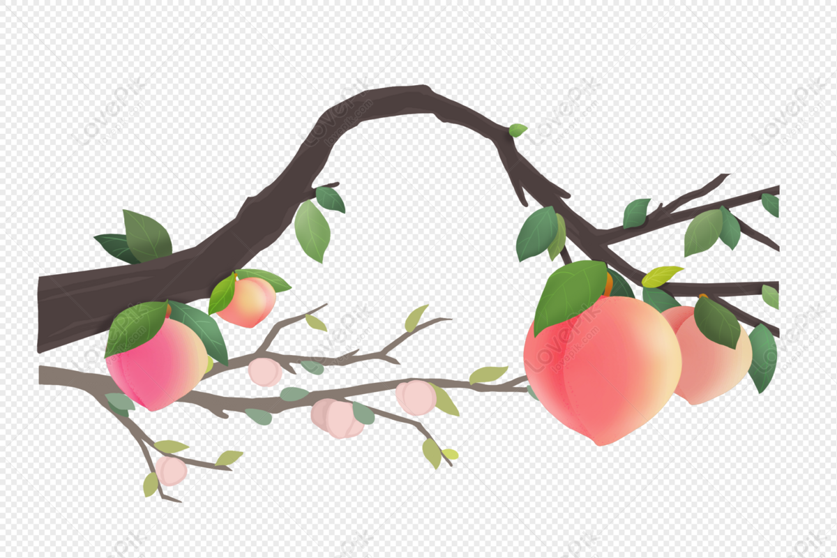 Cartoon Peach Tree Branch Png Transparent And Clipart Image For Free  Download - Lovepik | 401572496