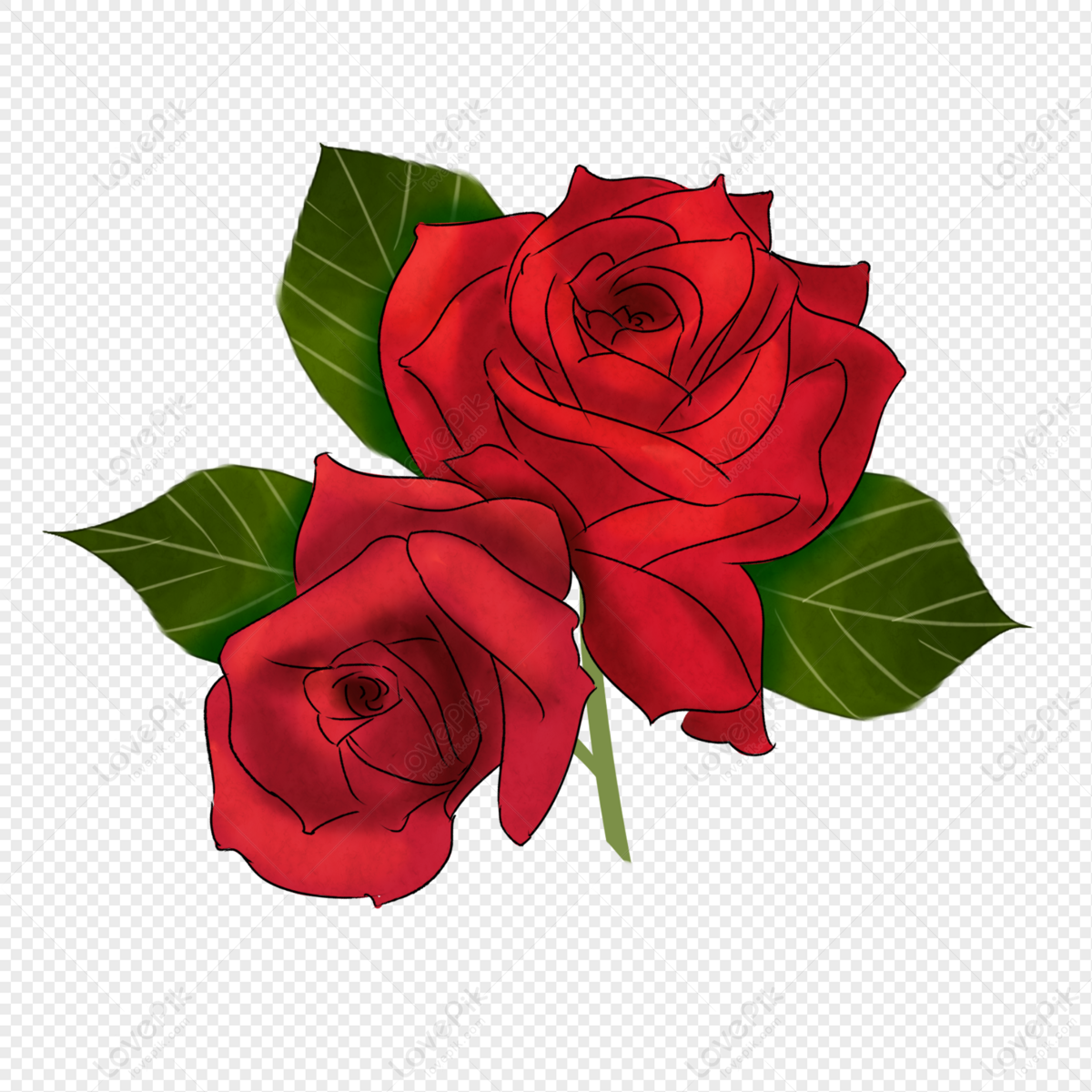 Cartoon Roses PNG Images With Transparent Background | Free Download On  Lovepik