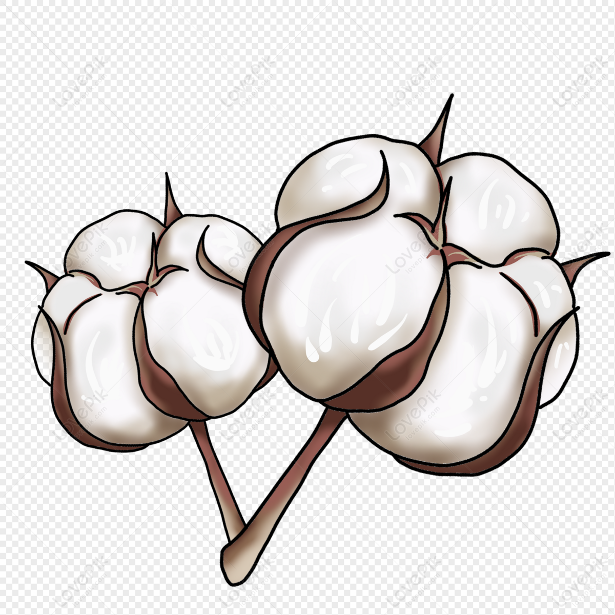 Cartoon White Cotton Illustration PNG Image Free Download And Clipart Image  For Free Download - Lovepik | 401531531