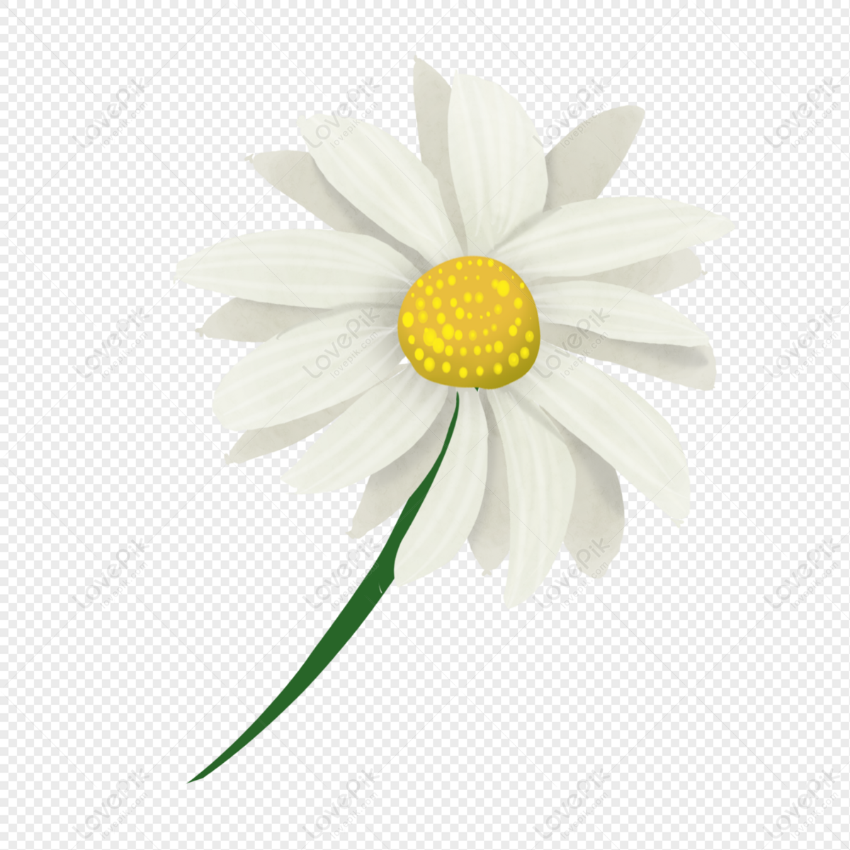 Cartoon White Daisy PNG Image And Clipart Image For Free Download - Lovepik  | 401568398