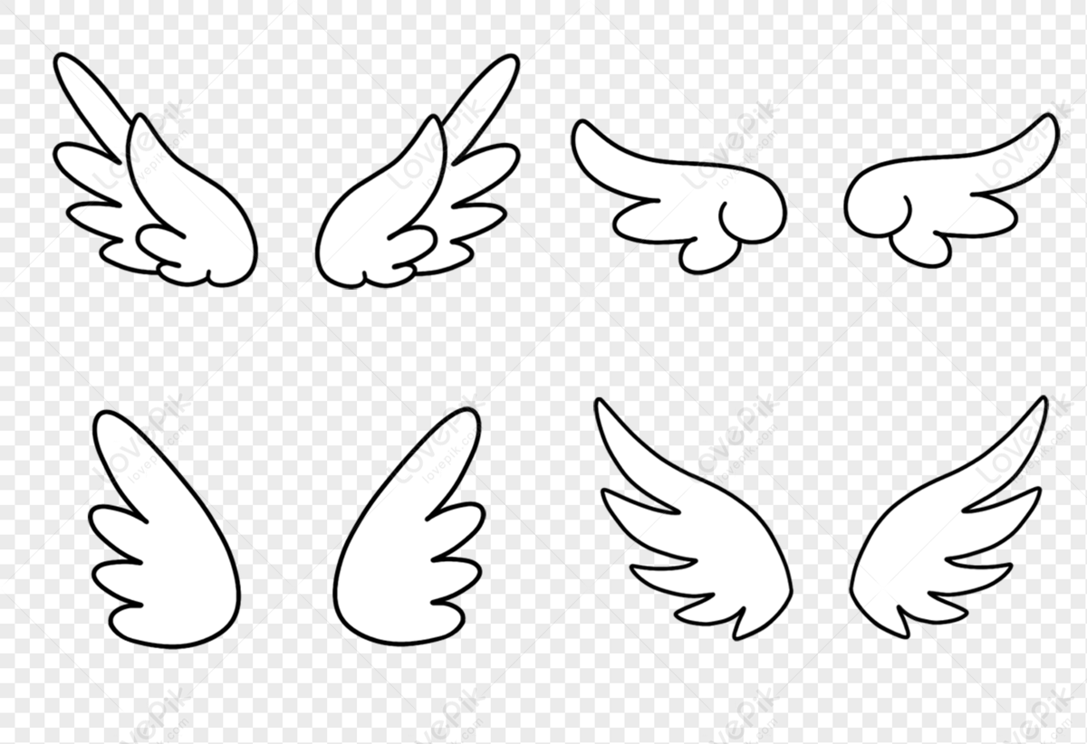 Angel Wings Sketch Vector Art, Icons, and Graphics for Free Download