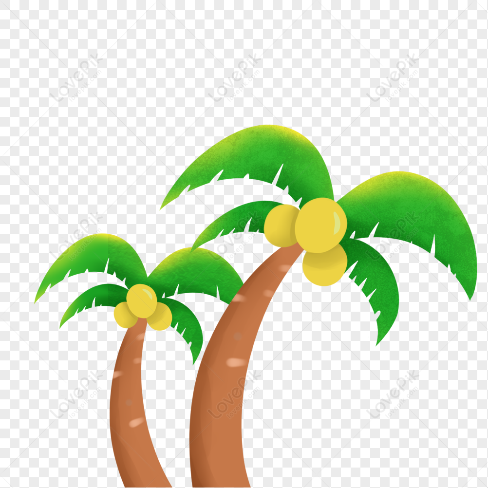 Coconut Tree, Tree, Coconut Tree Material, Coconut Tree Picture PNG ...