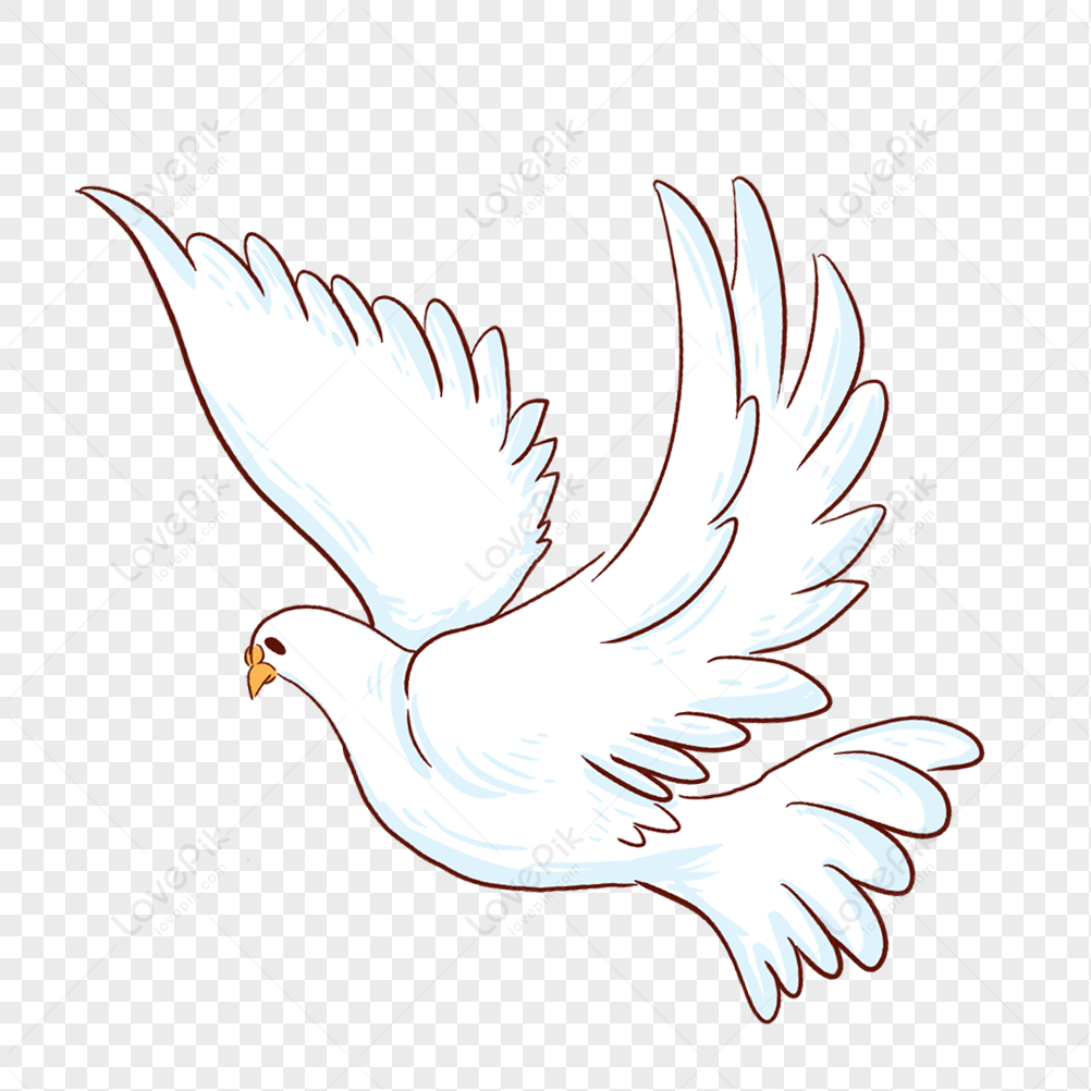 Free Vectors | Pigeons Birds Birds Peace Fly