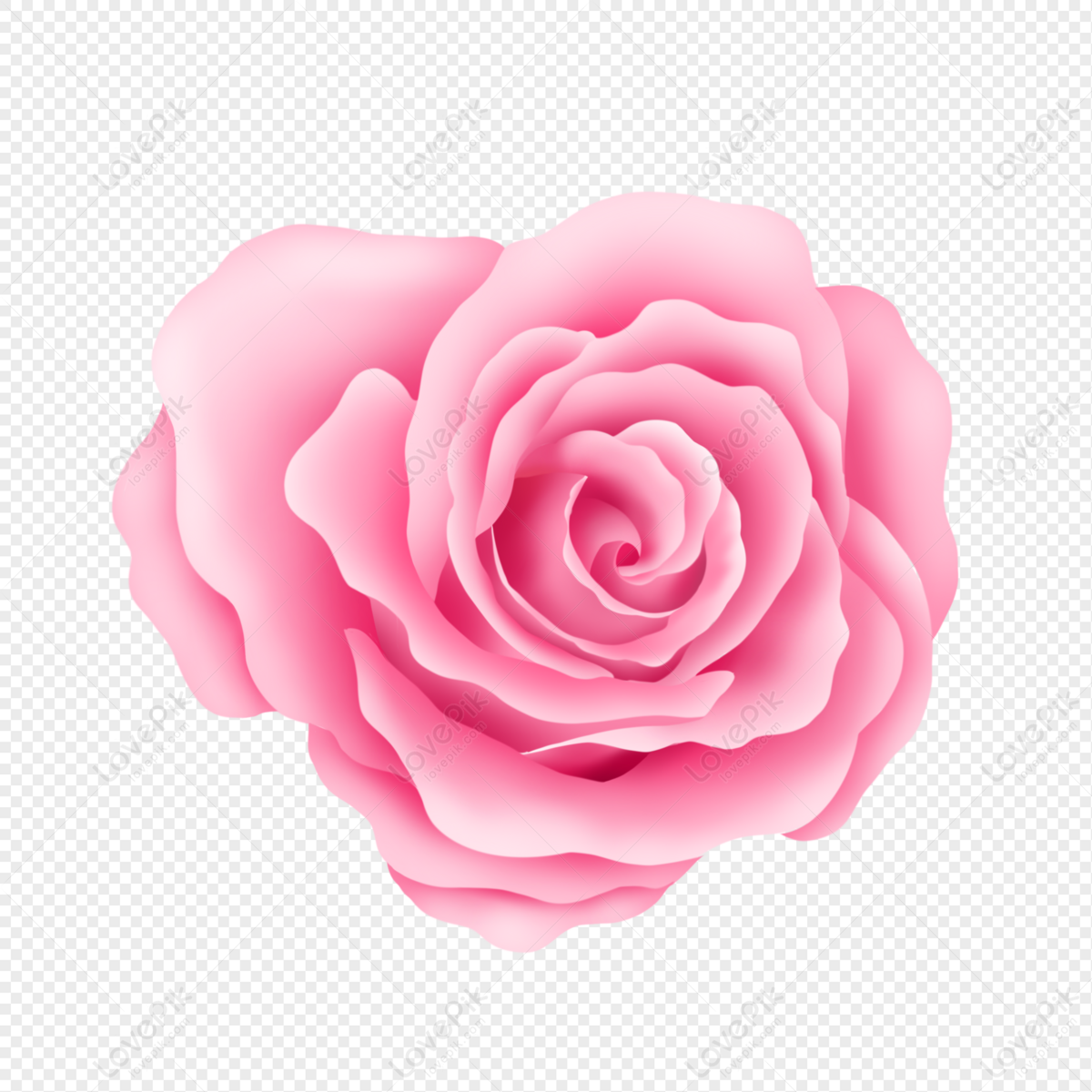 Pink Rose Flower PNG Transparent And Clipart Image For Free Download -  Lovepik | 401522586