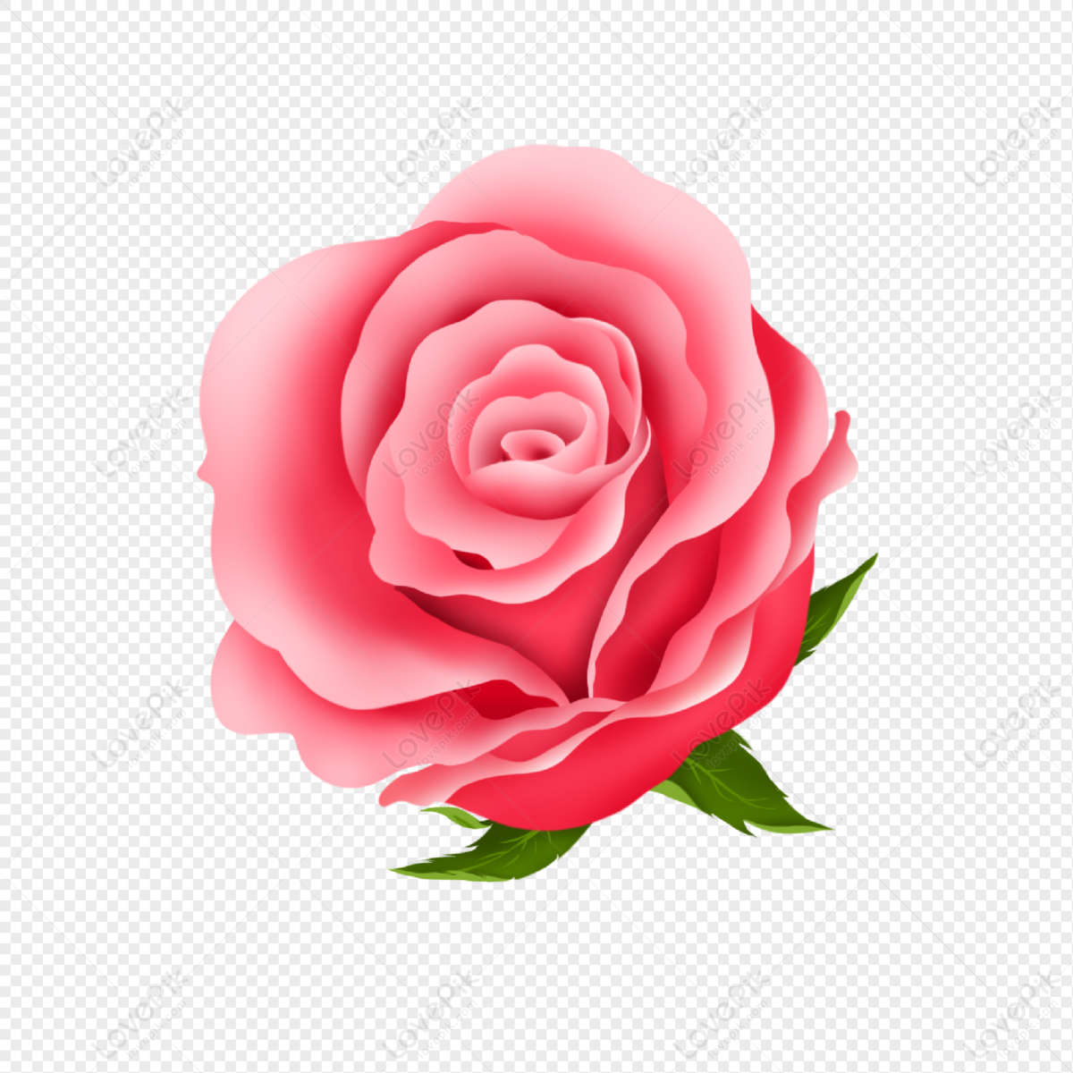 Red Rose With Flowerbed PNG Image Free Download And Clipart Image ...