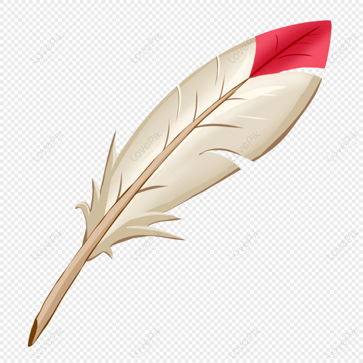 feather pen vector free download