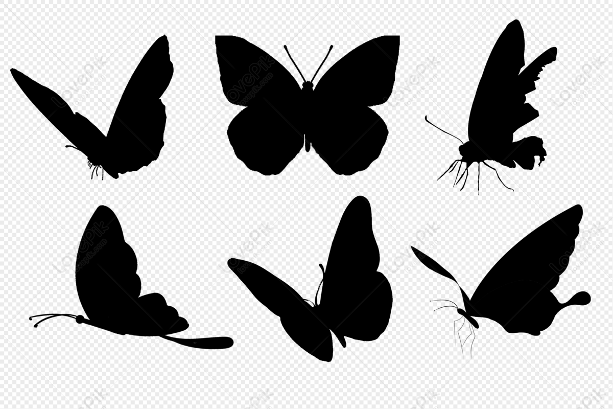 Butterfly silhouette, butterfly, material, butterfly silhouette png image free download