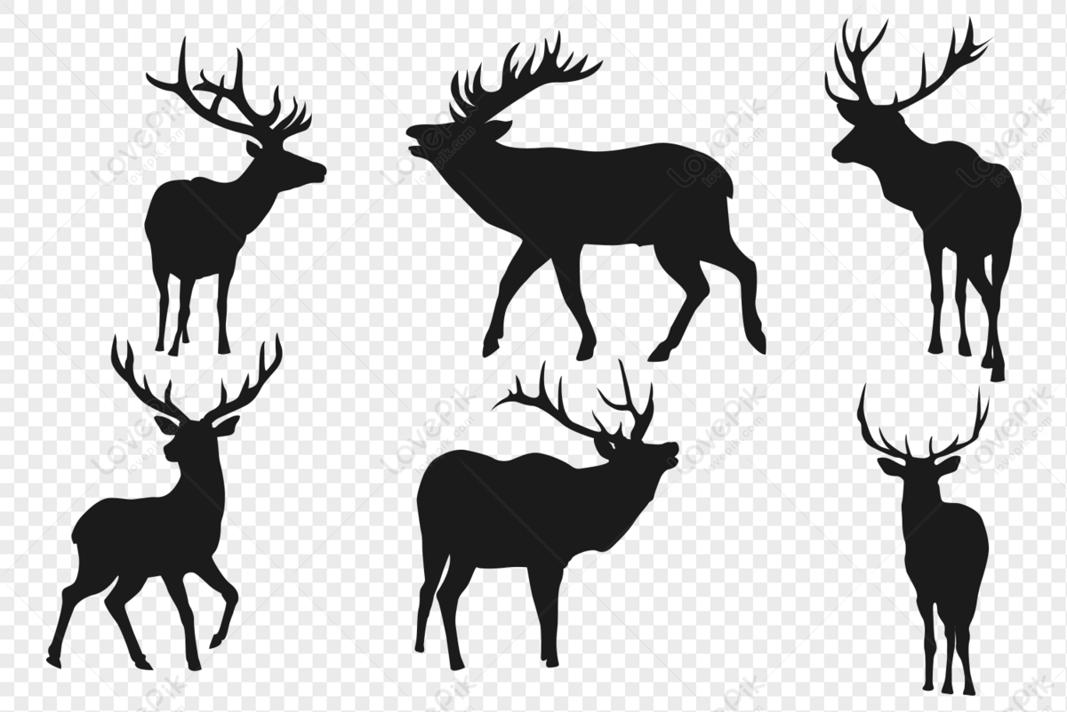 Hình nền : con nai, động vật, Đơn sắc, Nền đơn giản, Chủ nghĩa tối giản,  Logo, Hình học, Dây thừng, bóng tối, canh, đen và trắng, Nhiếp ảnh đơn sắc,  phông