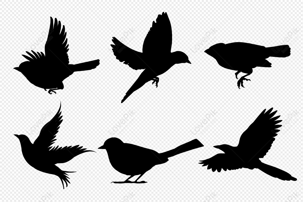Flying bird silhouette, flying, material, bird silhouette png transparent image
