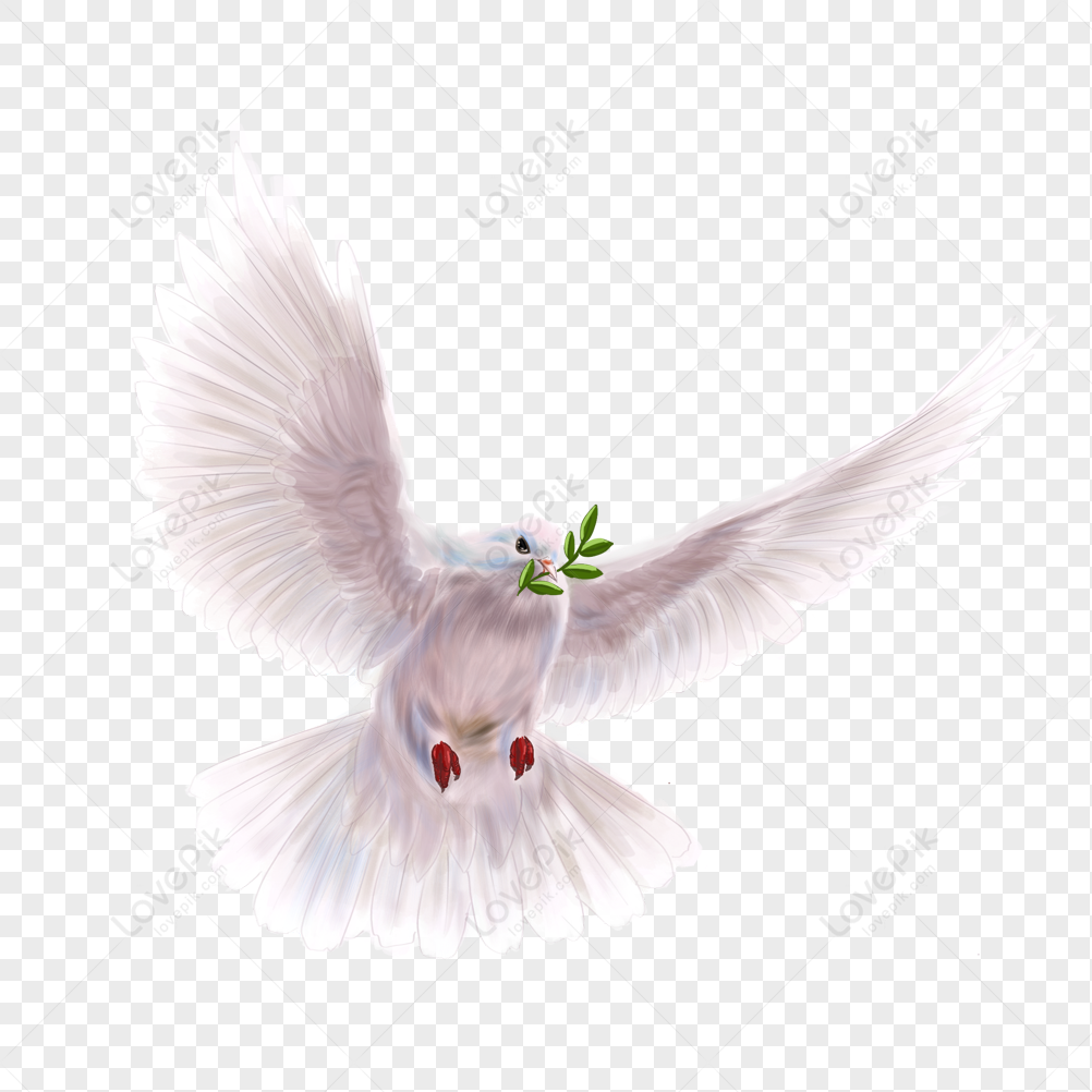wedding doves png