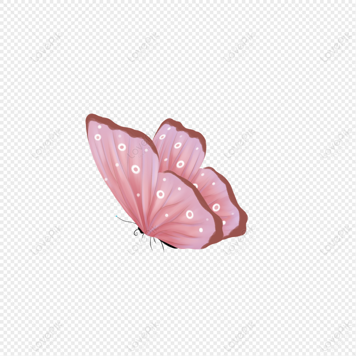 Flying Pink Butterfly PNG Transparent Image And Clipart Image For Free  Download - Lovepik | 401686727