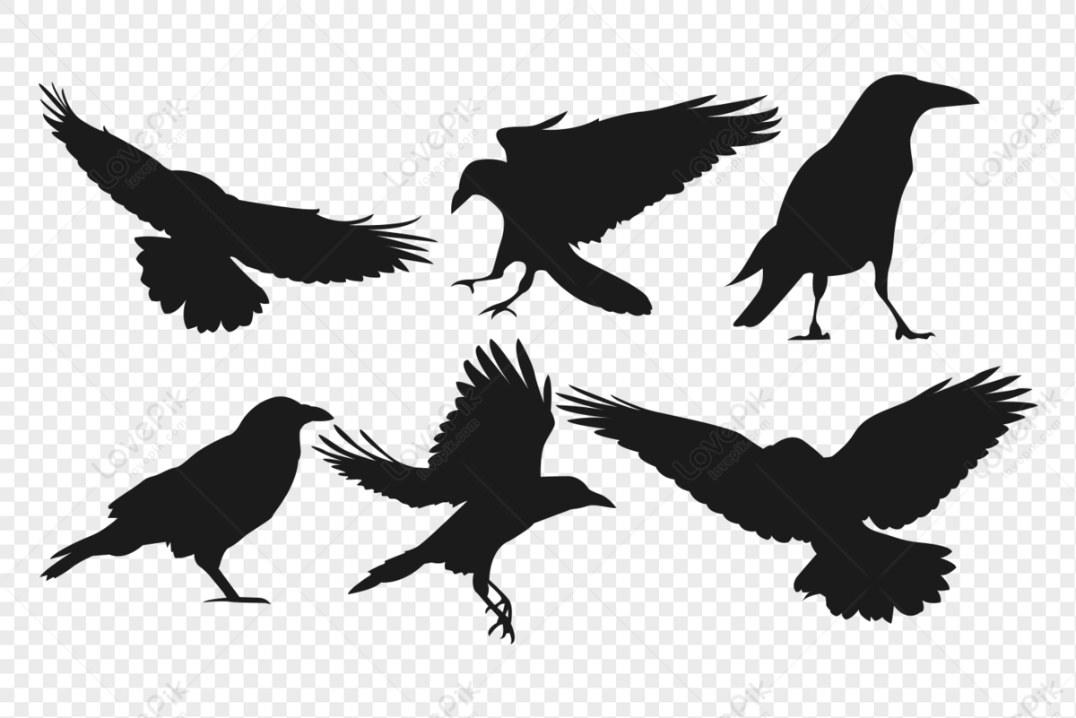 Cartoon Crow Picture PNG Images With Transparent Background | Free Download  On Lovepik