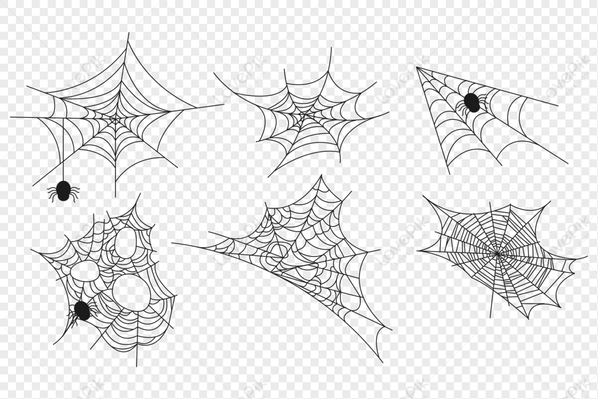 Nếu bạn đang tìm kiếm một hình dáng con nhện độc đáo để trang trí cho bộ đồ của mình, thì Spider Silhouette PNG chắc chắn là điều bạn đang cần. Với hình ảnh chất lượng cao, bạn có thể sử dụng để làm hình nền cho điện thoại, trang trí nhà cửa hay bất kỳ mục đích sáng tạo nào khác.