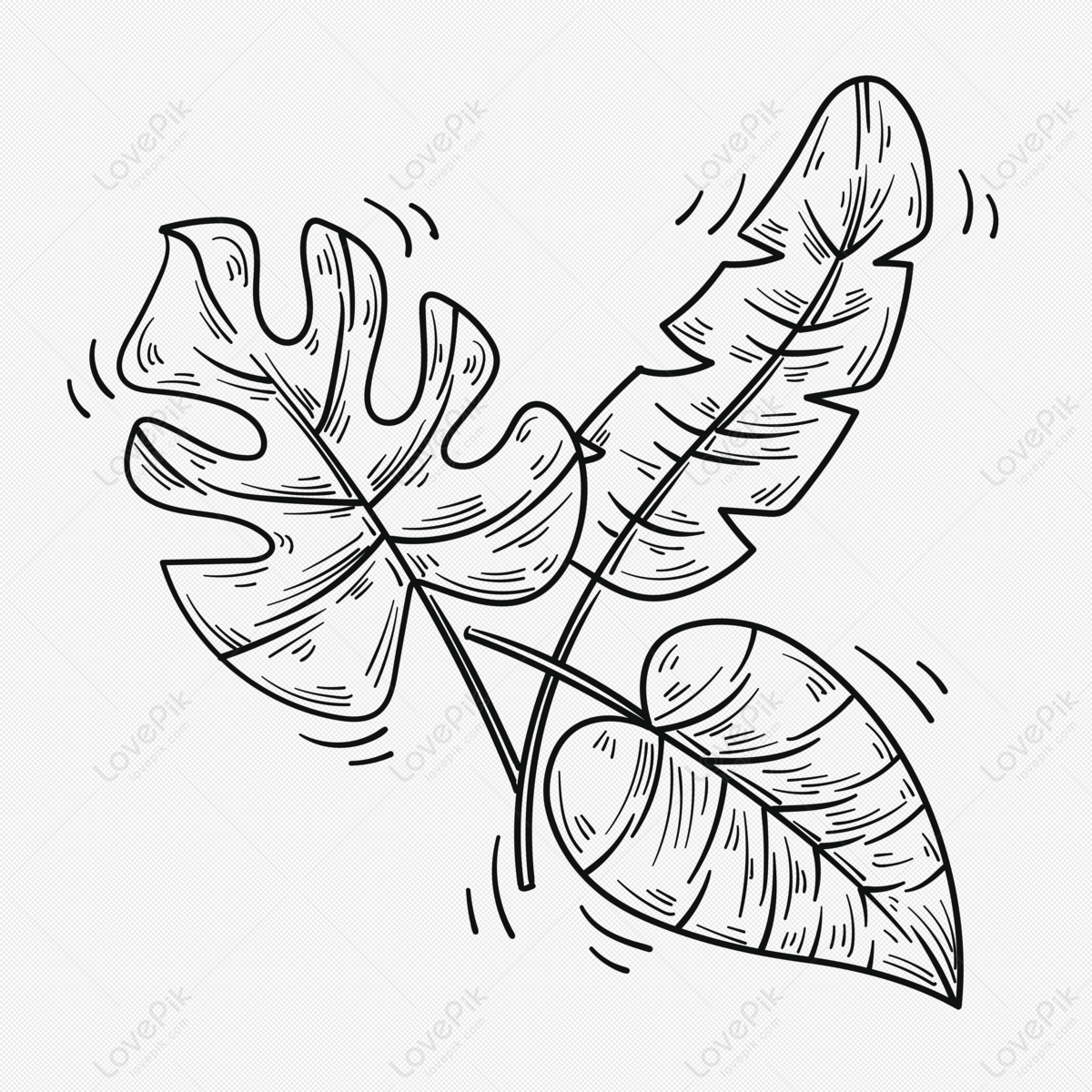 Coloring book Leaf Drawing Black and white Page, Leaf, leaf, branch png |  PNGEgg