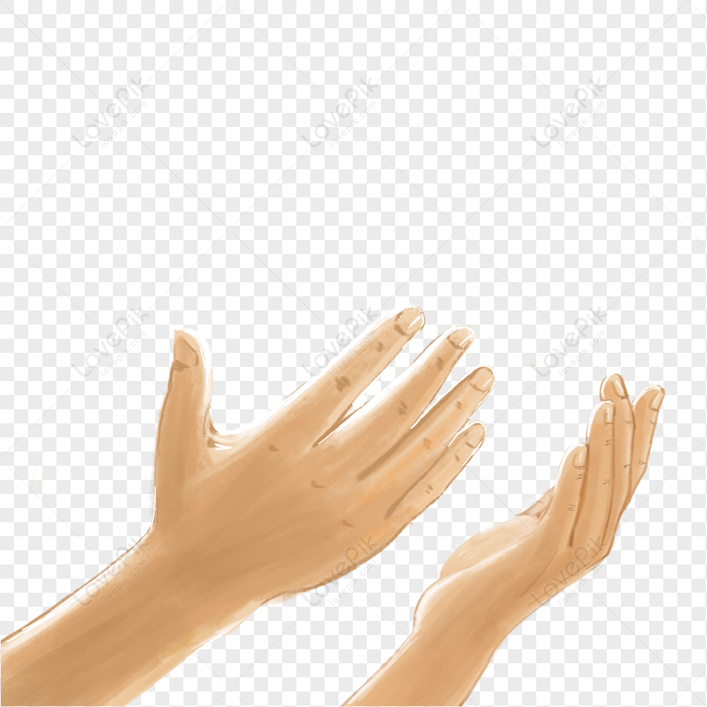 Female Hand Mannequin PNG Images & PSDs for Download