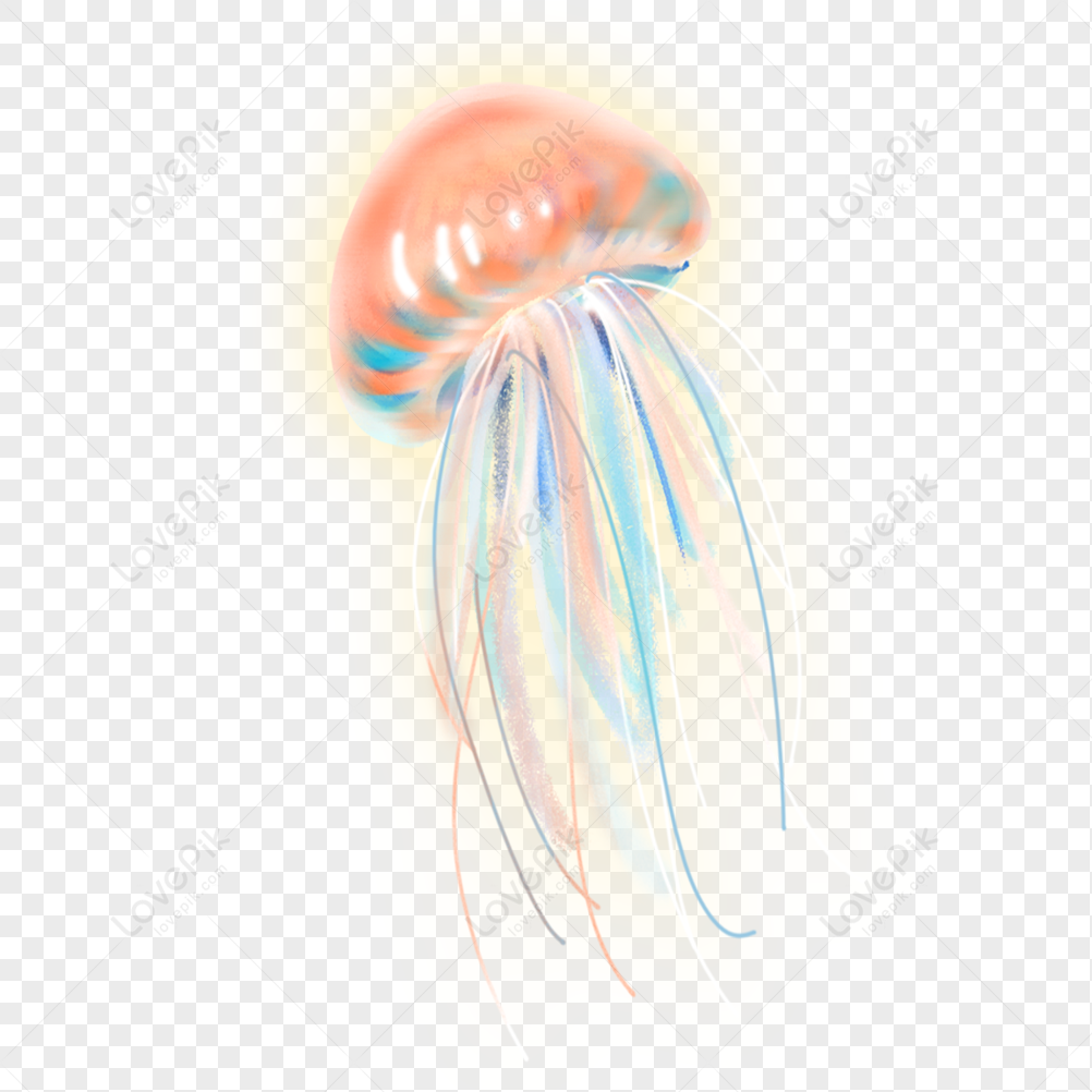 Jellyfish, Fish, Marine Life, Glowing Jellyfish PNG Image And Clipart ...