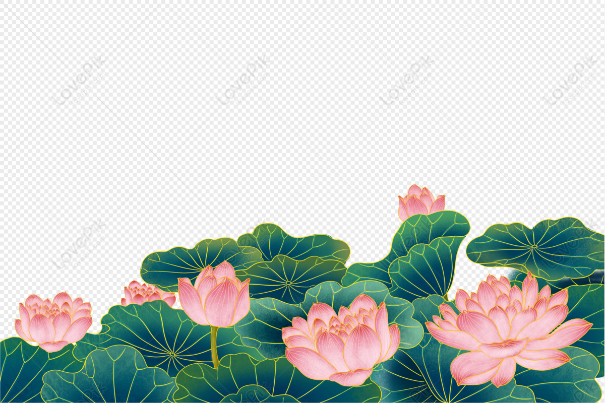 Lotus Flower PNG Images With Transparent Background | Free Download On  Lovepik