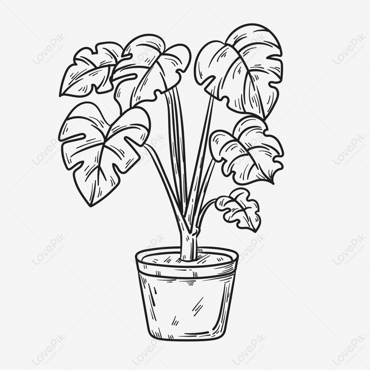 Dibujo Lineal De Plantas En Macetas De Monstera PNG Im Genes Gratis   Lovepik Monstera Potted Plants Line Drawing Png Image 401693590 Wh1200 