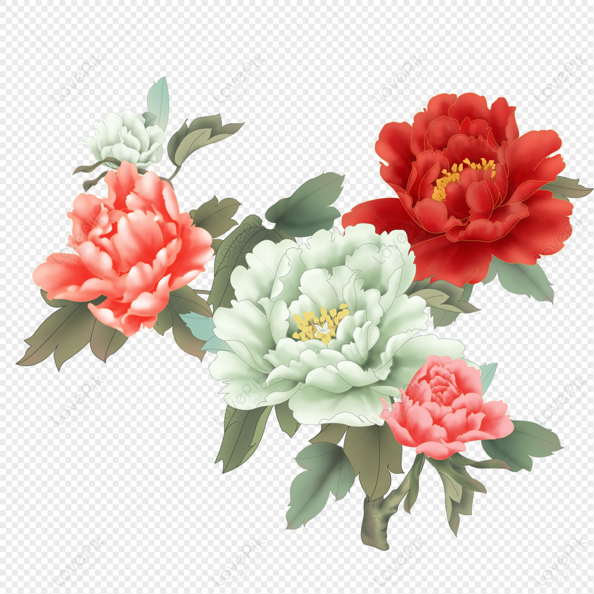 Peony PNG Picture And Clipart Image For Free Download - Lovepik | 401715895