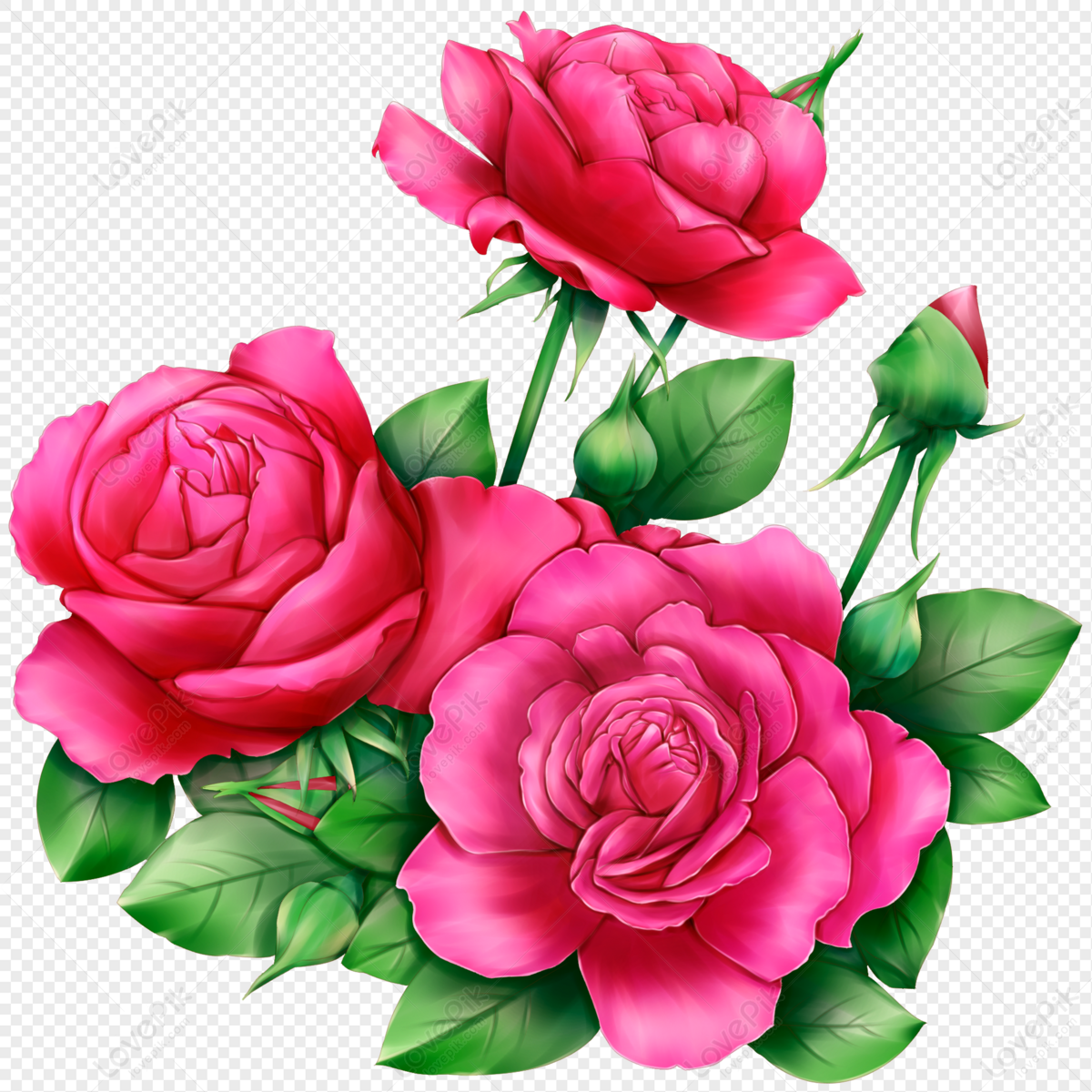 Rose Flowers Png Images With Transparent Background | Free Download On  Lovepik