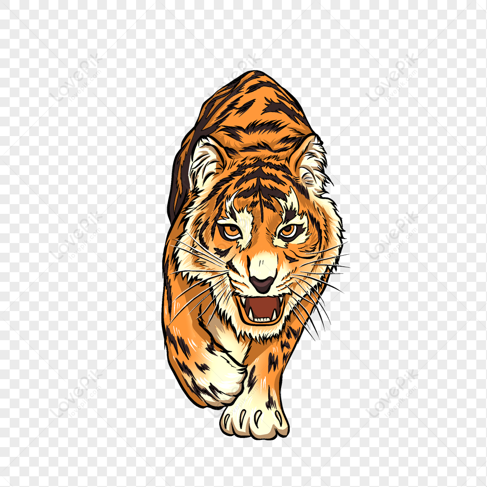 Drawing Tigers Sitting - White Tiger Anime Png, Transparent Png - kindpng