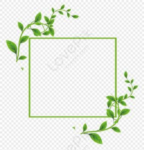 Vines PNG Images With Transparent Background | Free Download On Lovepik