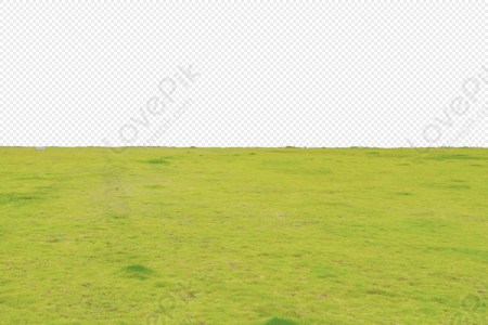 Green Grass PNG Images With Transparent Background | Free Download On  Lovepik