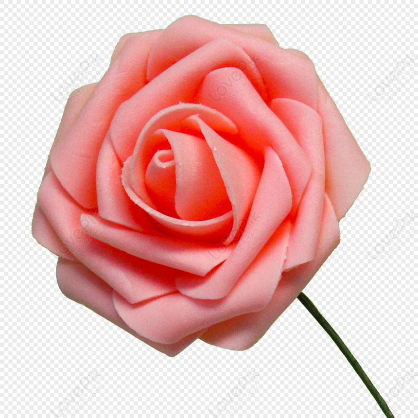 Với màu hồng tươi tắn và ngọt ngào, những đoá hoa hồng màu hồng sẽ cho bạn được trải nghiệm cảm giác tươi mới và yêu đời. Hãy xem hình ảnh này và cảm nhận tình yêu đầy ngọt ngào.