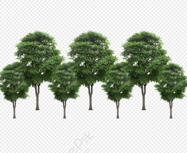 Background Tree PNG Images With Transparent Background | Free Download On  Lovepik
