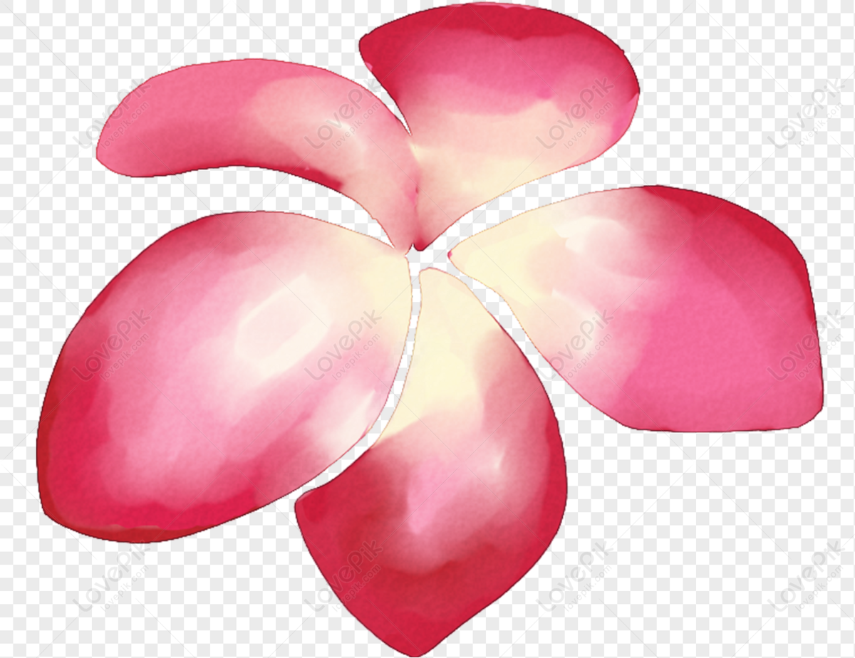 Cartoon Flower PNG Images With Transparent Background | Free Download On  Lovepik