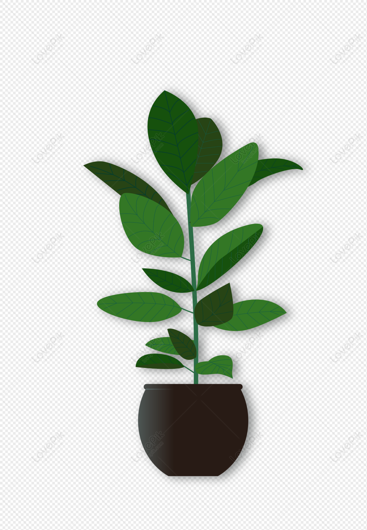 Planta En Maceta PNG Imágenes Gratis - Lovepik