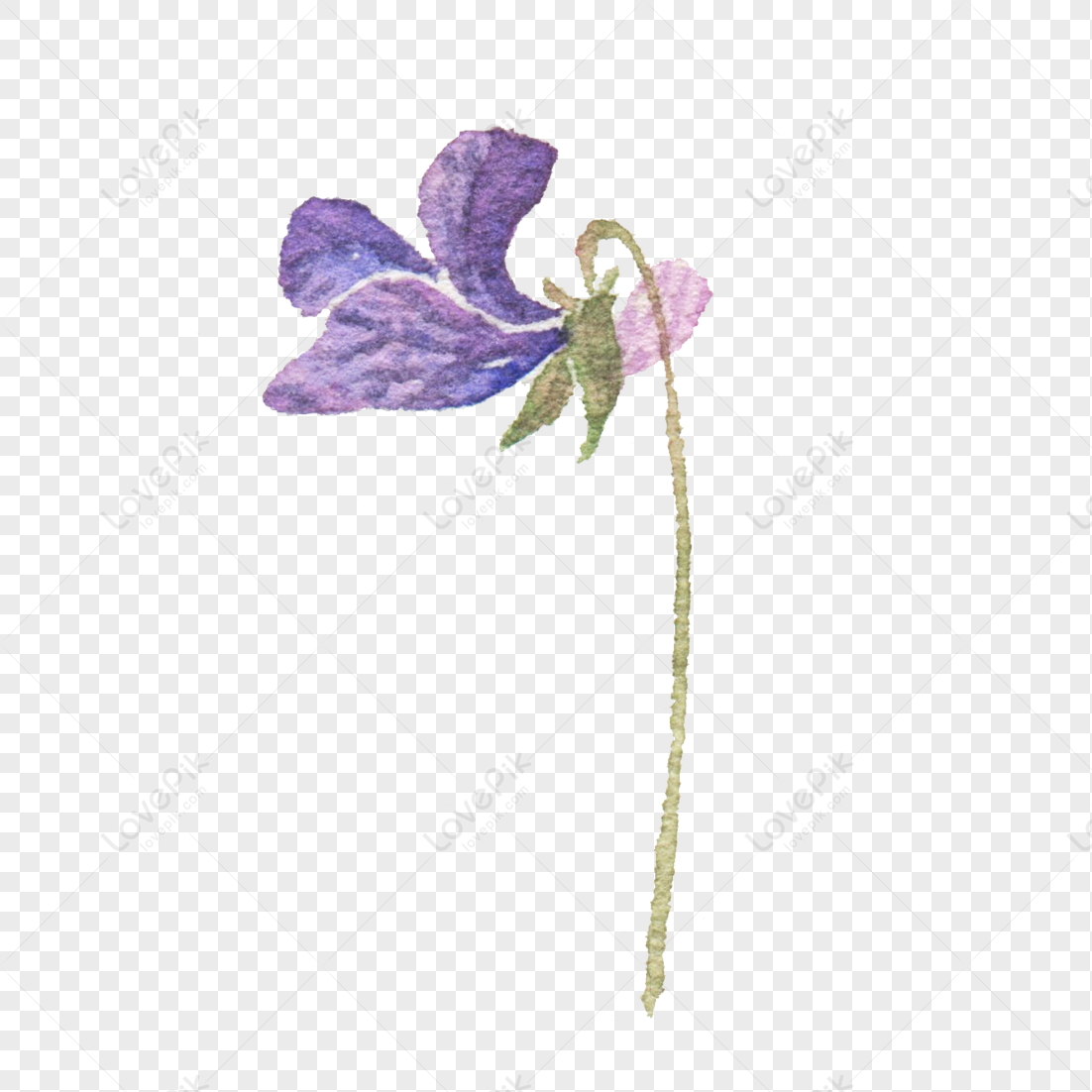 Flores Pintadas A Mano De Color Morado PNG Imágenes Gratis - Lovepik