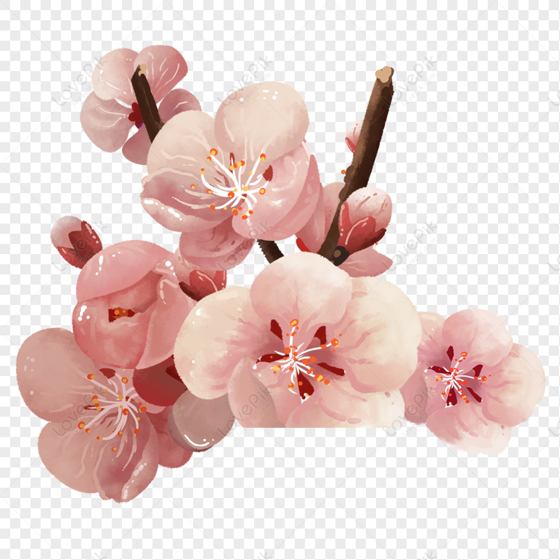 plum flower clipart