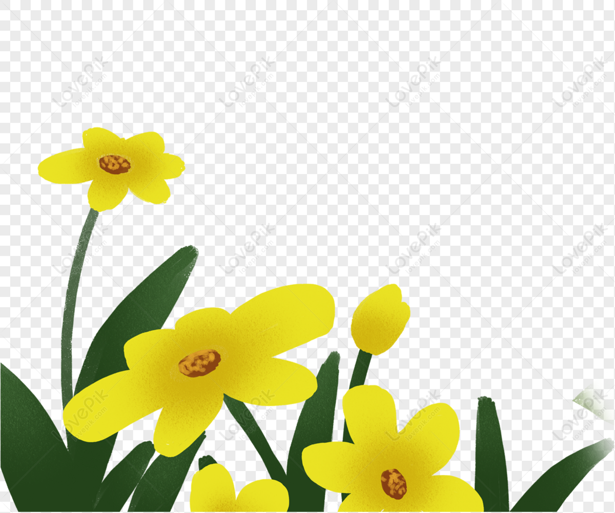 Flor Amarilla PNG Imágenes Gratis - Lovepik