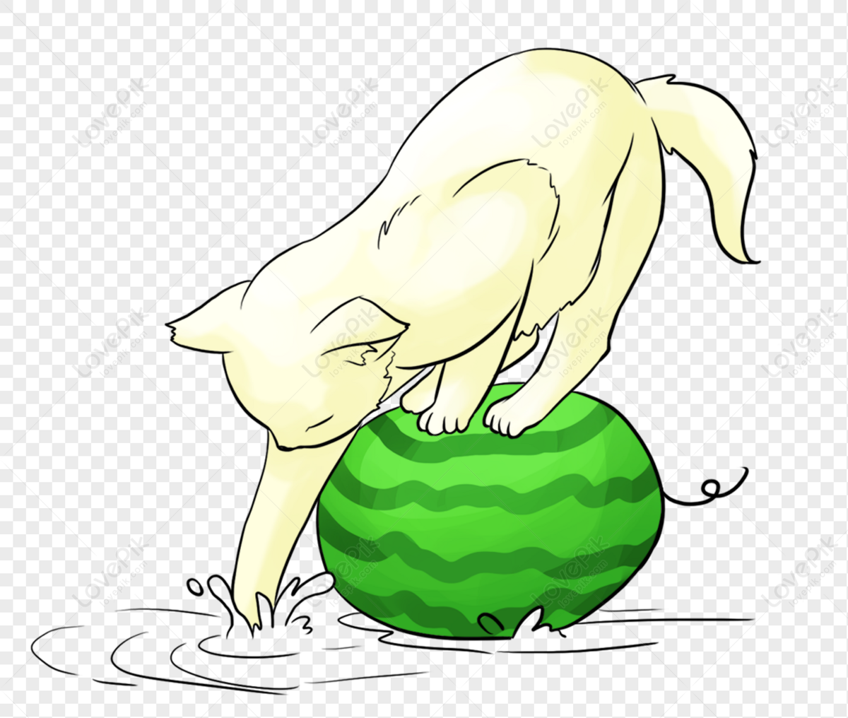 A cat standing on a watermelon, stand, material, water png image. 